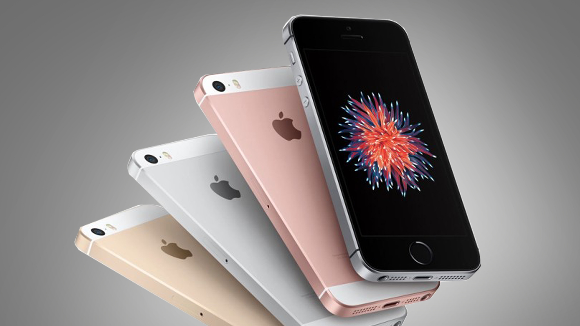 В конце концов, iPhone SE 4 может не получить динамический остров - но он может получить другую функцию iPhone 16