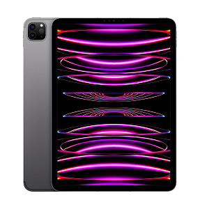 iPad